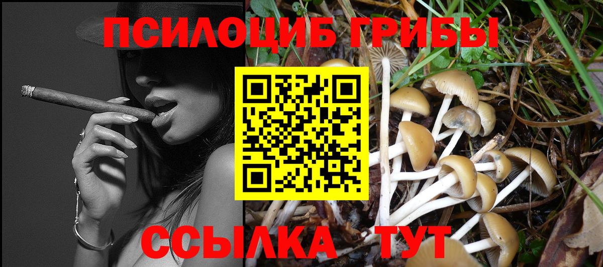 Галлюциногенные грибы Cubensis  Псилоцибиновые грибы мухоморы  Вход с VPN  наркотики  Кашира 